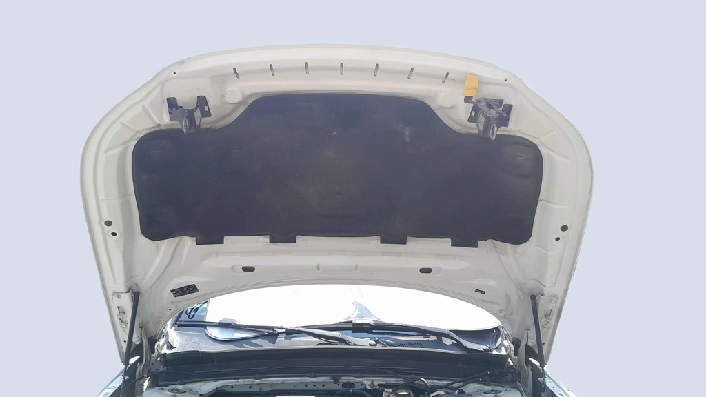 CAR HOOD