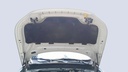 CAR HOOD
