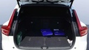TRUNK