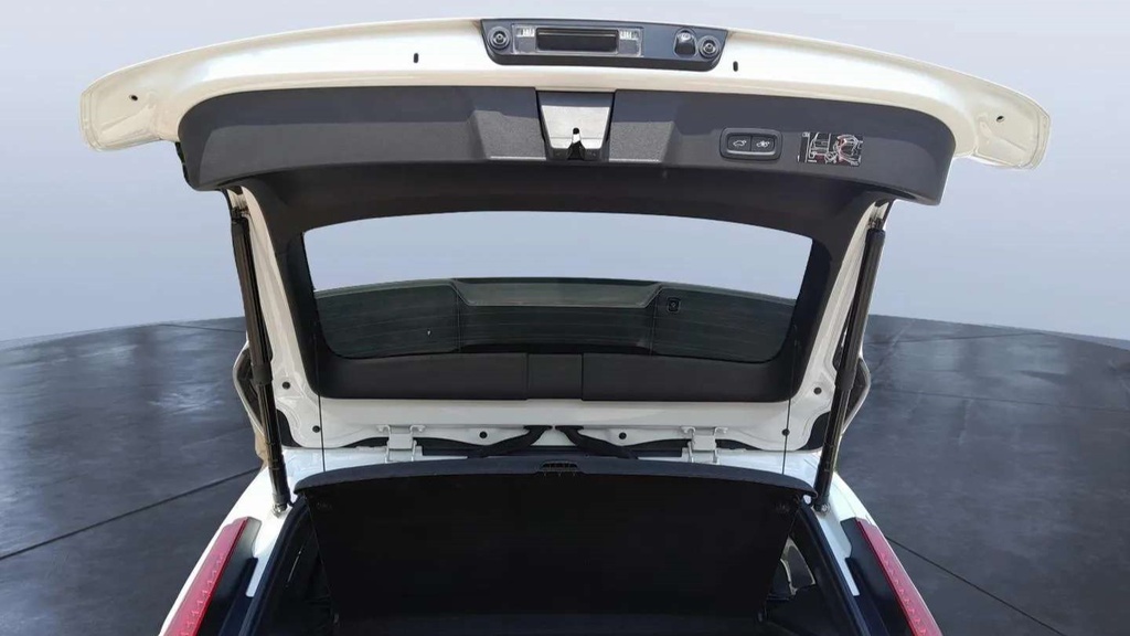 TRUNK HOOD
