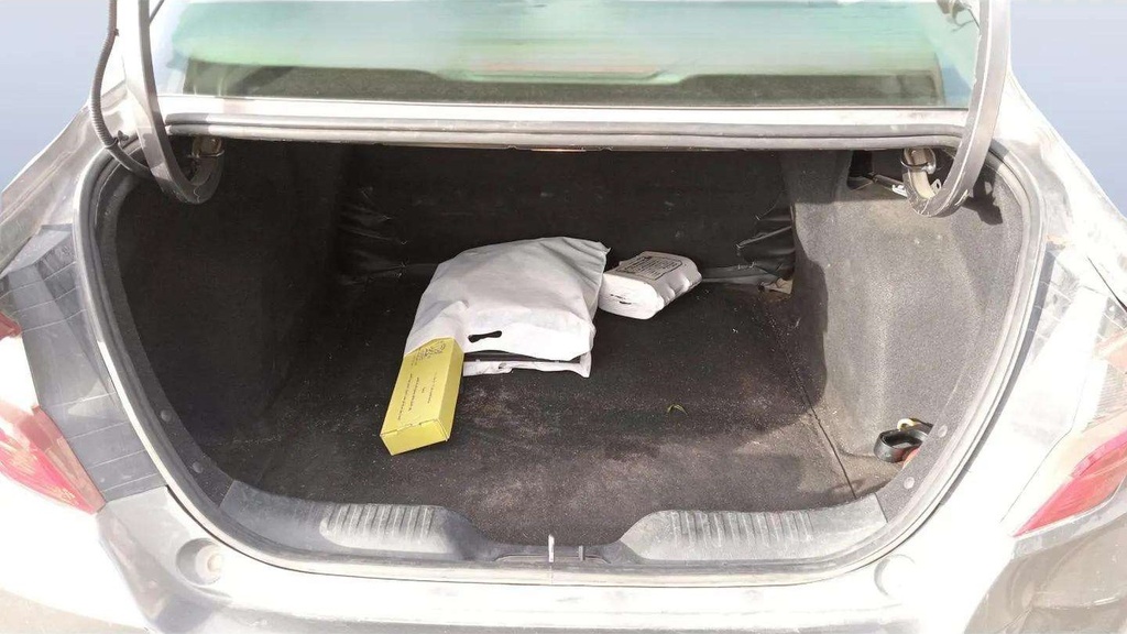 TRUNK