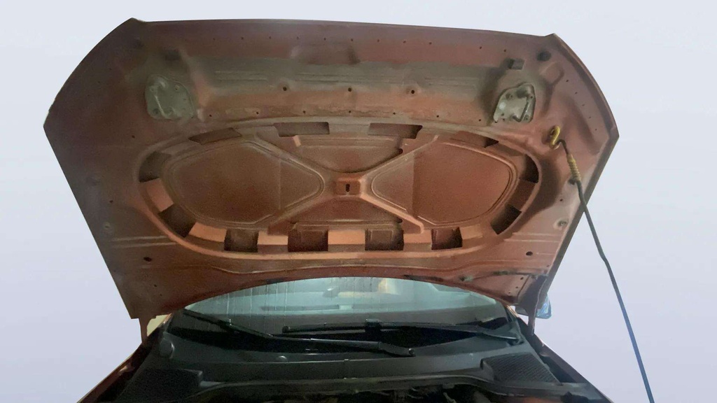 CAR HOOD