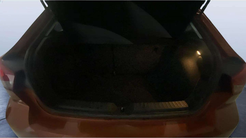 TRUNK