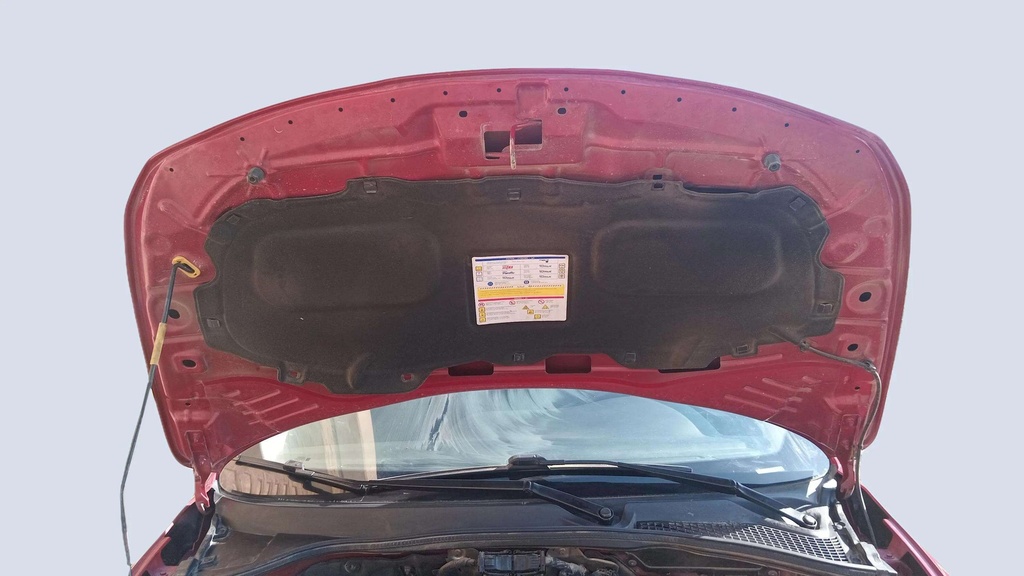 CAR HOOD