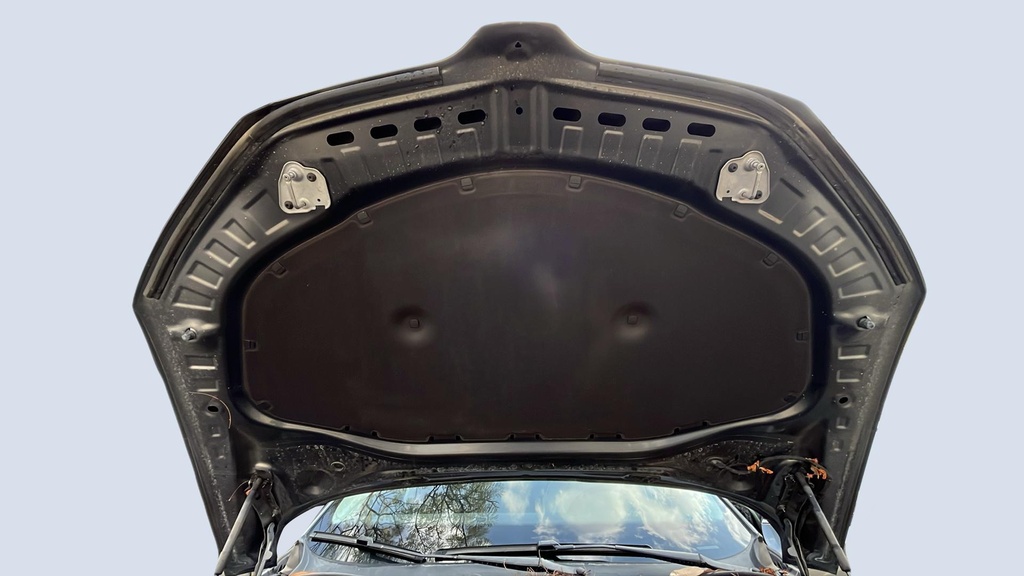 CAR HOOD