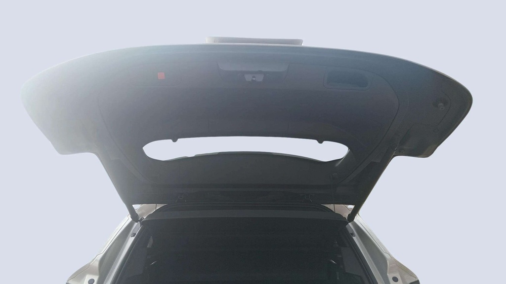 TRUNK HOOD