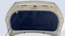 CAR HOOD