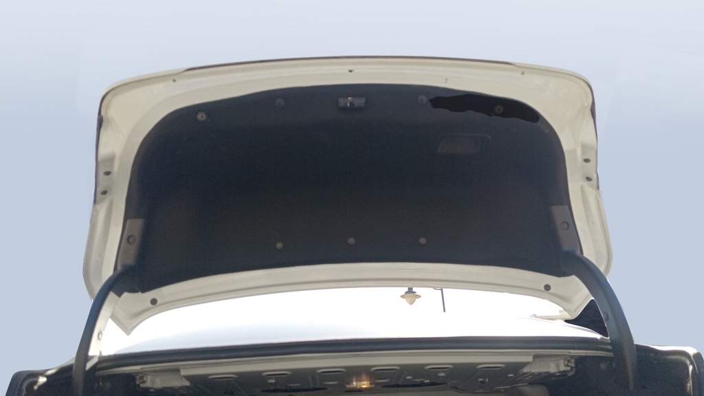 TRUNK HOOD