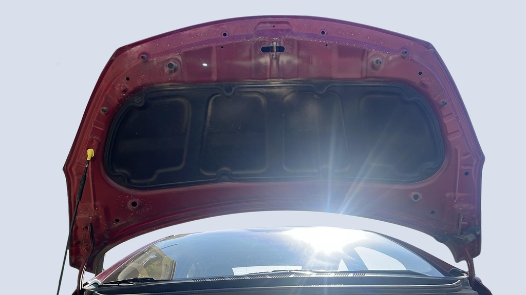 CAR HOOD
