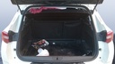 TRUNK