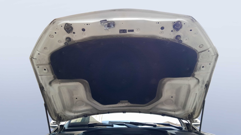 CAR HOOD