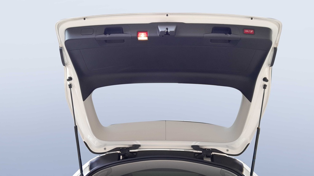 TRUNK HOOD