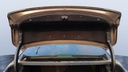 TRUNK HOOD