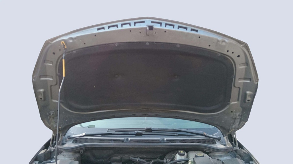 CAR HOOD