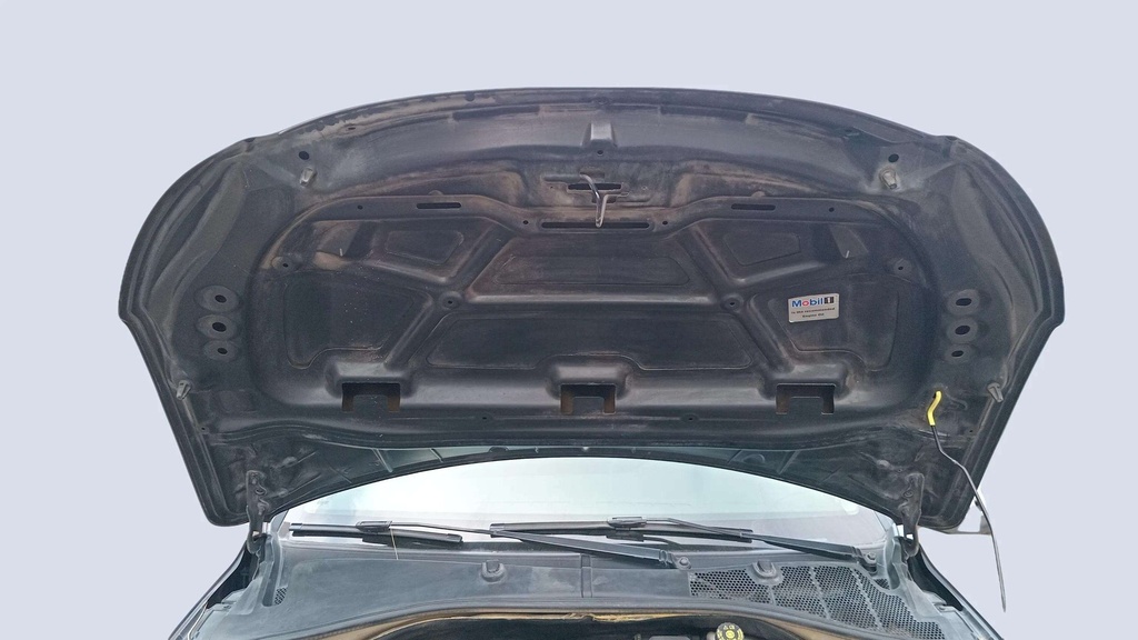 CAR HOOD