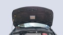 CAR HOOD