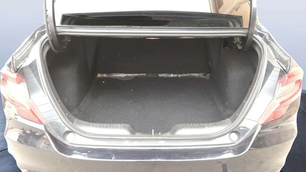 TRUNK
