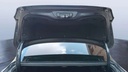 TRUNK HOOD