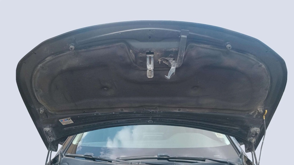 CAR HOOD