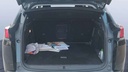 TRUNK