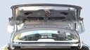 TRUNK HOOD