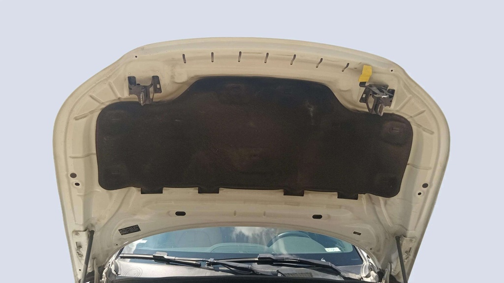 CAR HOOD