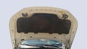 CAR HOOD