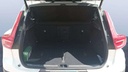 TRUNK