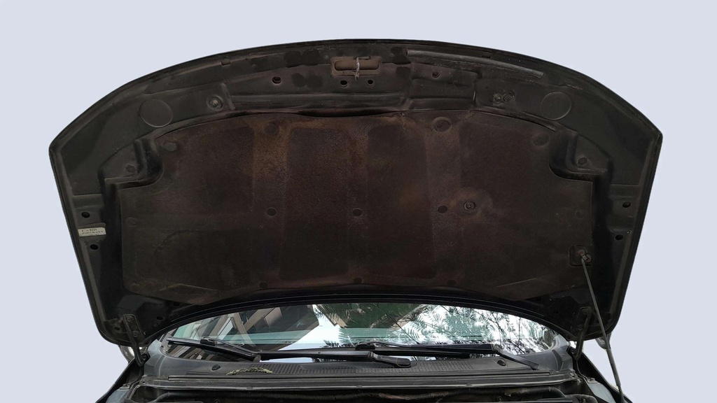 CAR HOOD