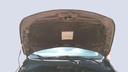 CAR HOOD