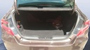 TRUNK