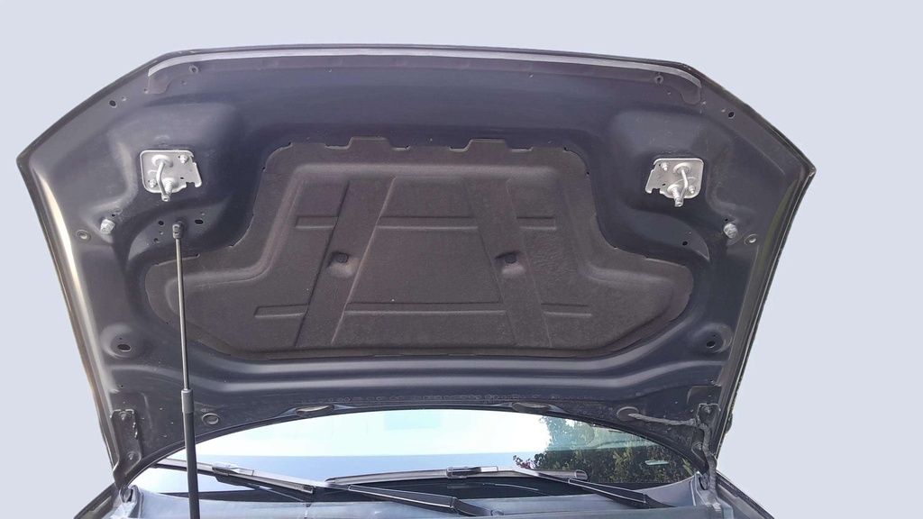 CAR HOOD