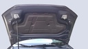 CAR HOOD