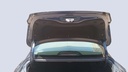 TRUNK HOOD