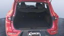 TRUNK
