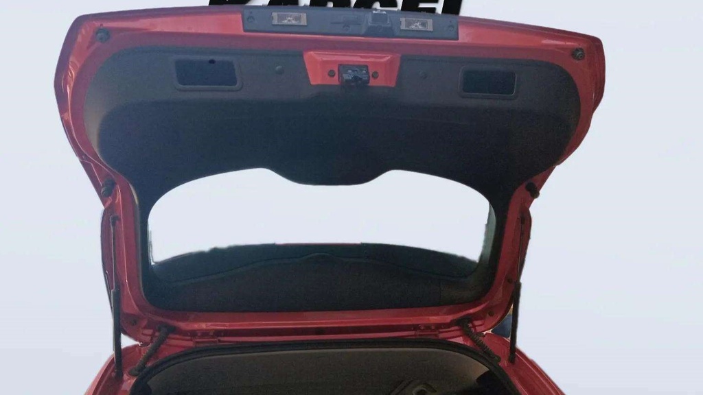 TRUNK HOOD