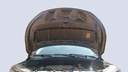 CAR HOOD