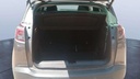 TRUNK