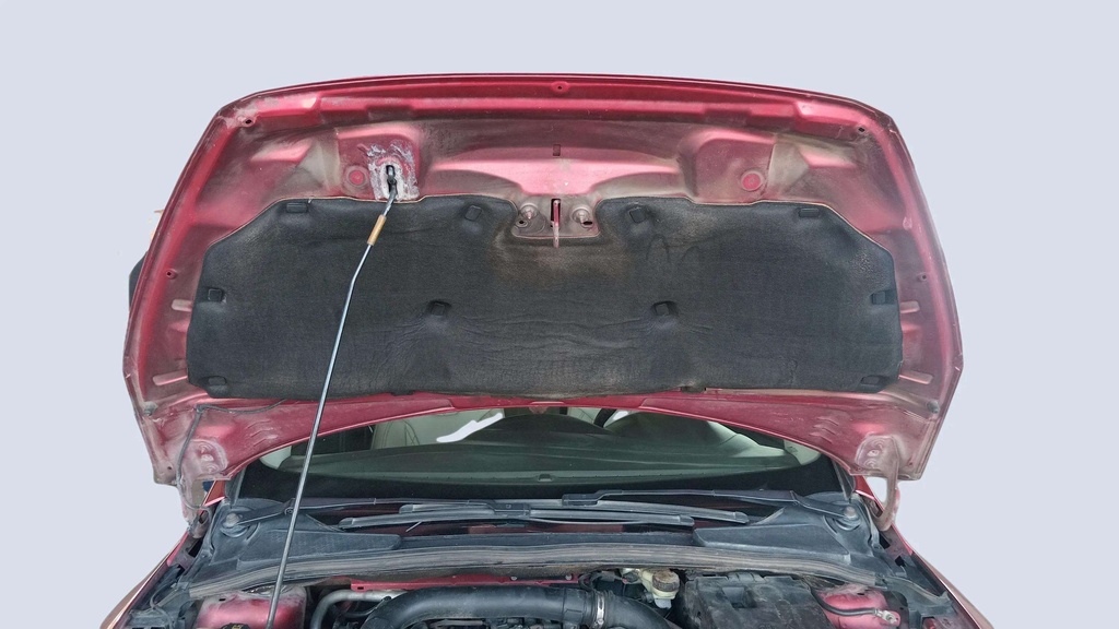 CAR HOOD