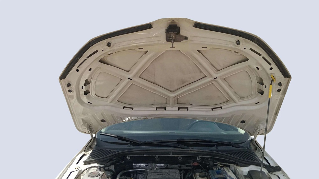CAR HOOD