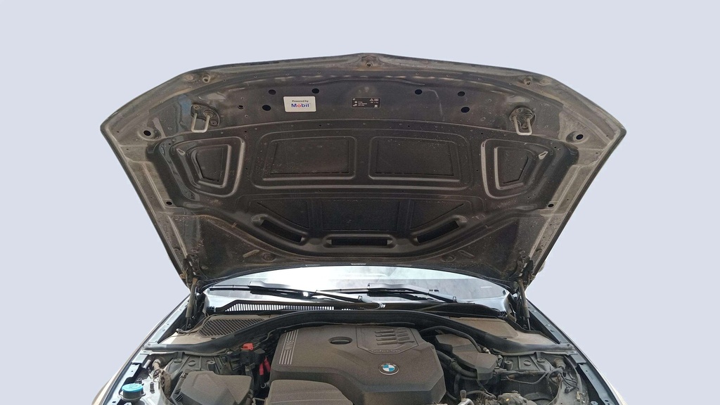 CAR HOOD