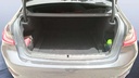 TRUNK