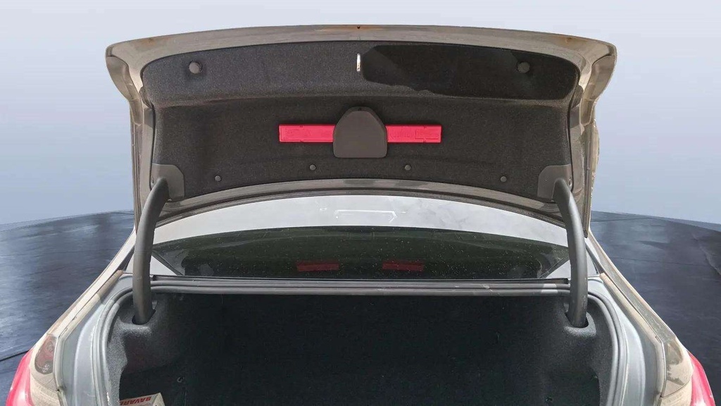 TRUNK HOOD