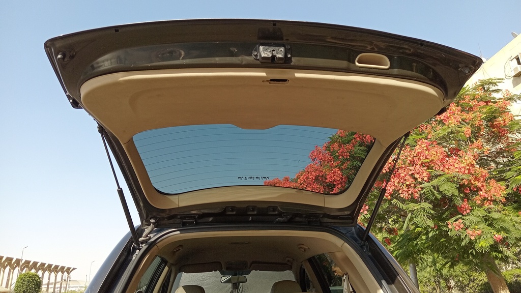 TRUNK HOOD
