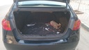 TRUNK
