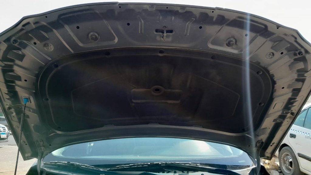 CAR HOOD