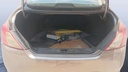 TRUNK