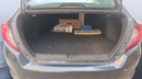 TRUNK