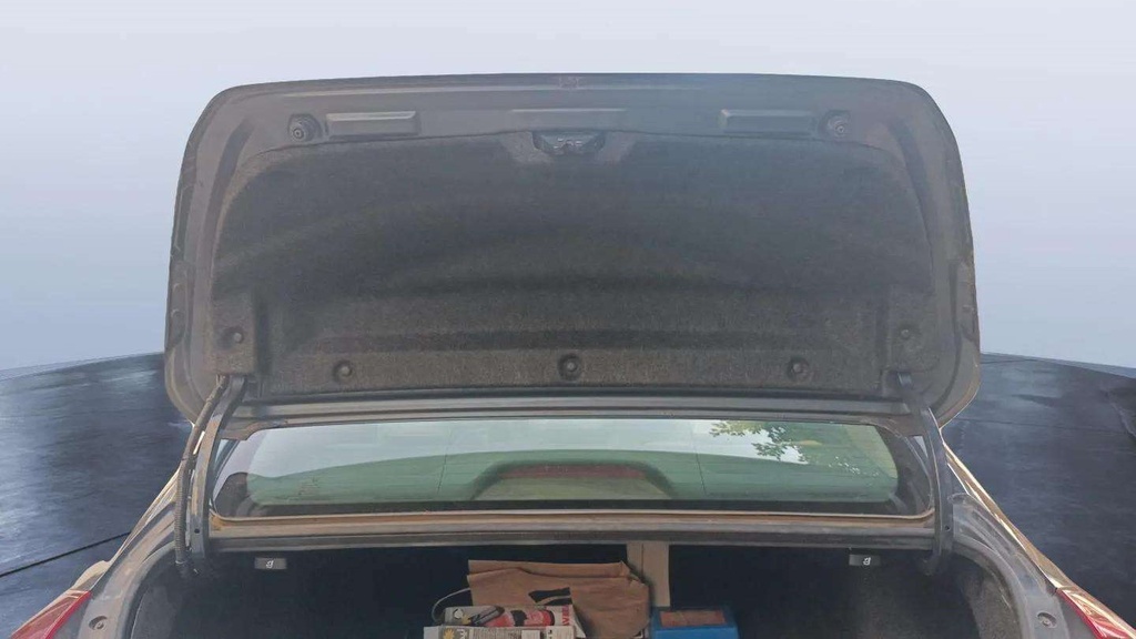 TRUNK HOOD