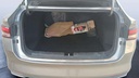 TRUNK